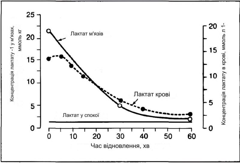 Файл:Lactic-acid3.jpg